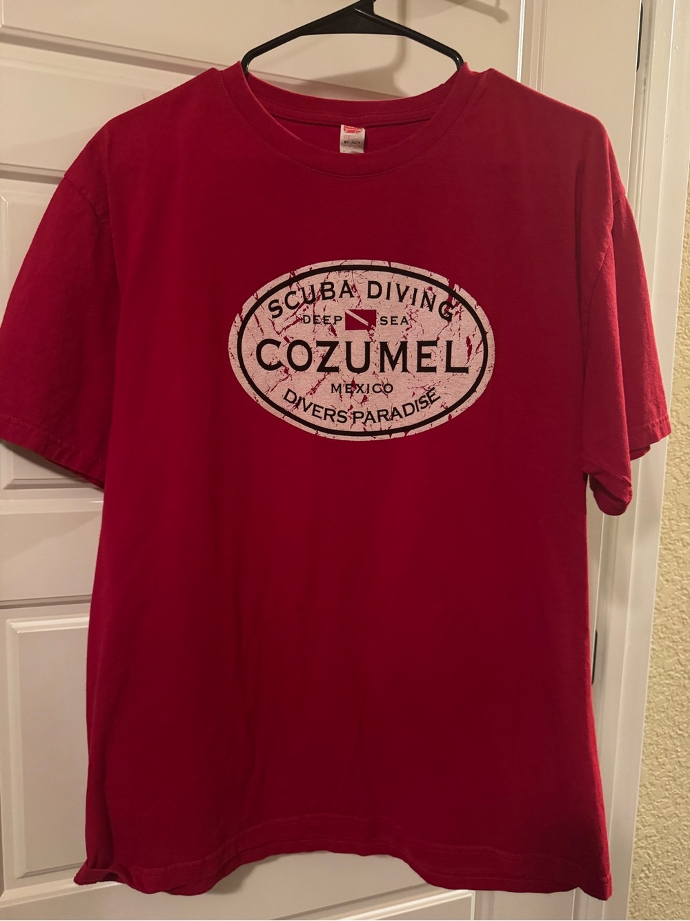 Red Scuba Diving Graphic Tee - Men